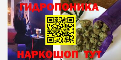 стафф Новозыбков