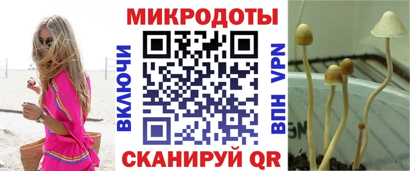 хочу наркоту Симферополь Галлюциногенные грибы Psilocybe
