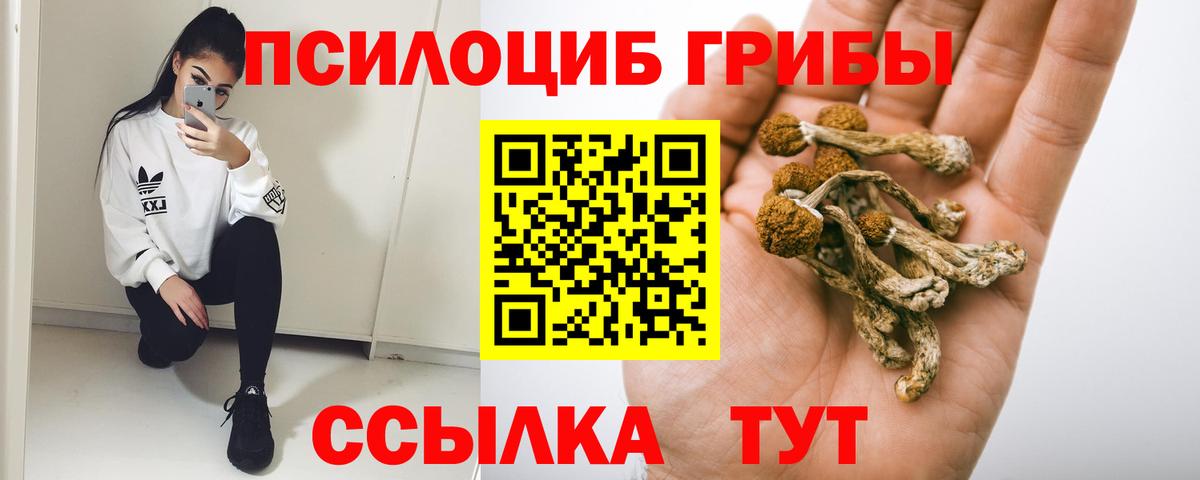 Псилоцибиновые грибы MAGIC MUSHROOMS Симферополь